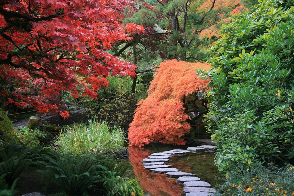 FABE-TRAVEL-JAPONYA-Japon-Bahçesi